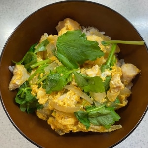 とろふわ親子丼